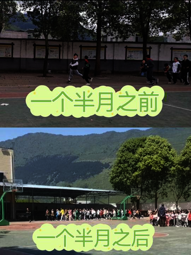 图片2 图片2